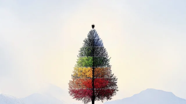 彩虹树壁纸