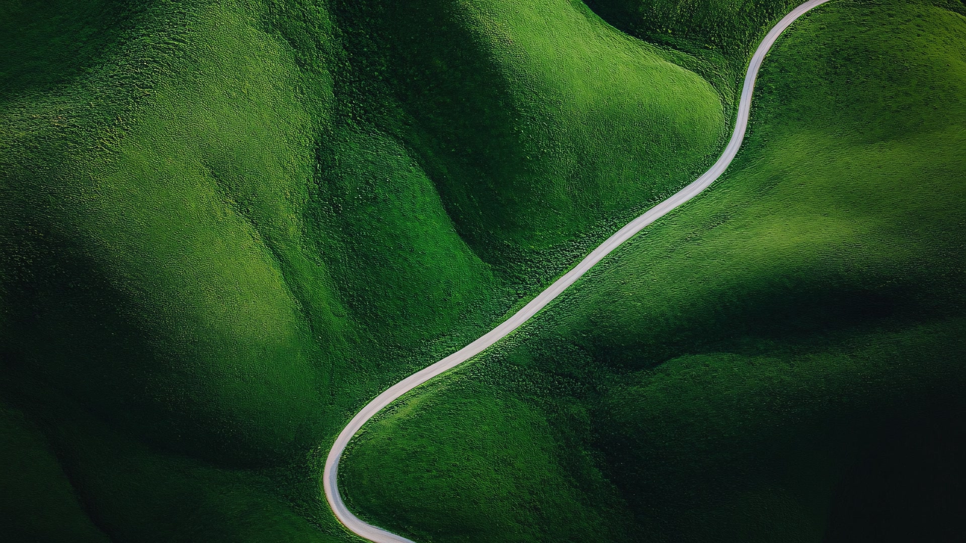 绿野蜿蜒路