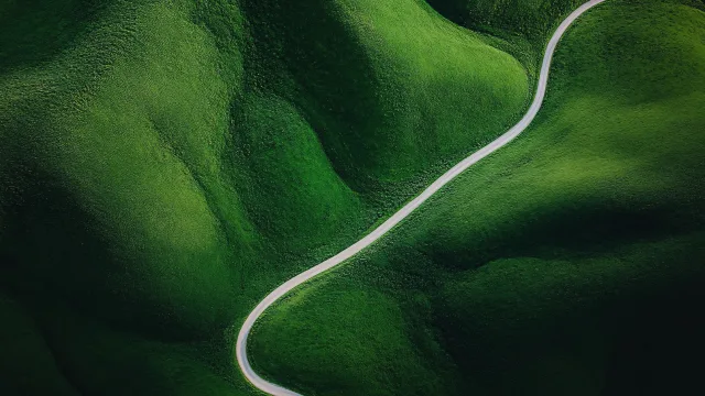绿野蜿蜒路