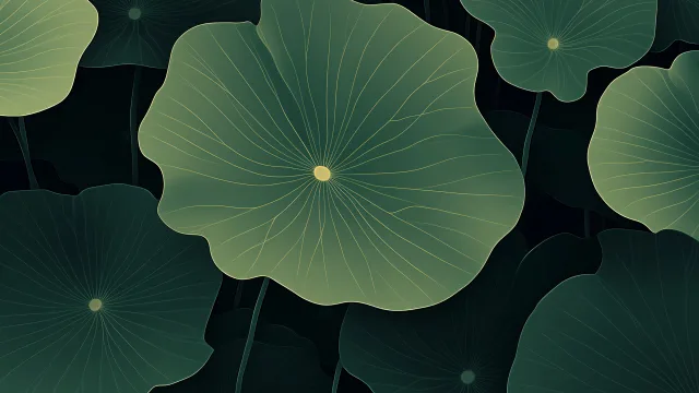 荷塘月色