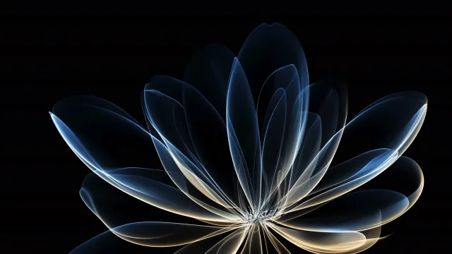 蓝金莲花壁纸