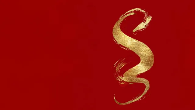 金蛇舞动红