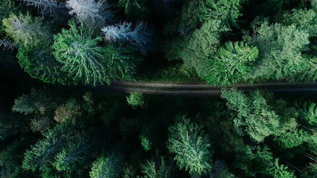 森林公路航拍