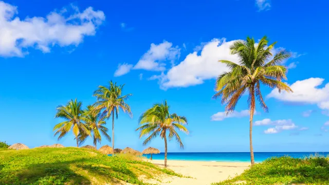 椰林碧海蓝天