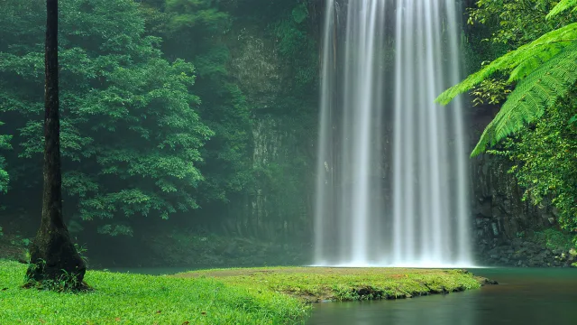 瀑布绿林美景