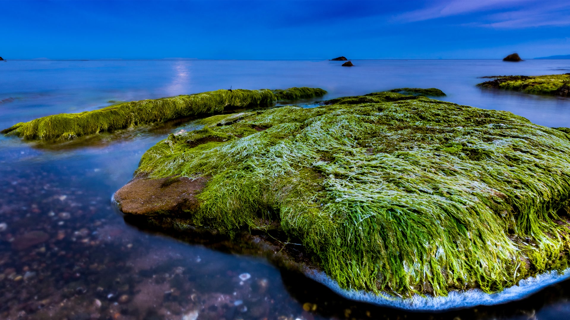 碧海青苔石