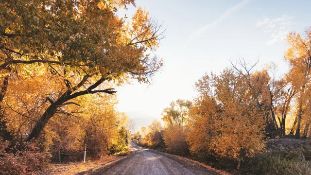 秋日公路风景