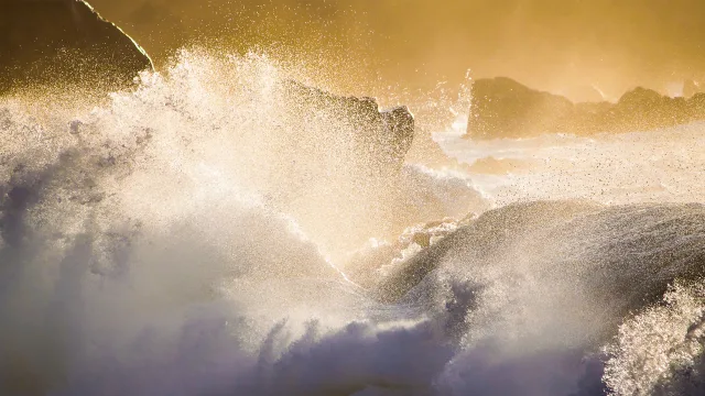 金色海浪