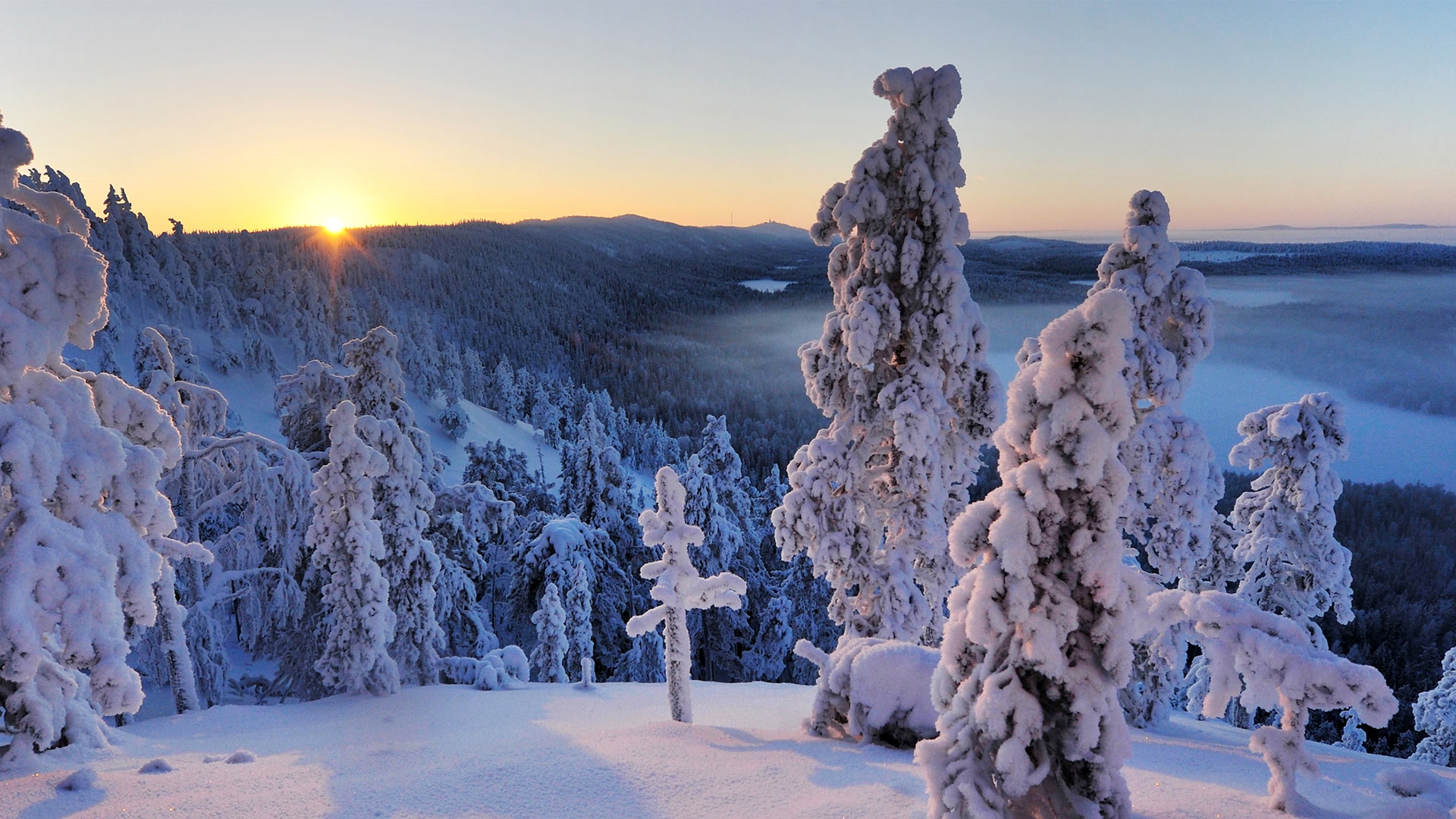 雪景日出壁纸