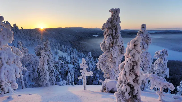 雪景日出壁纸