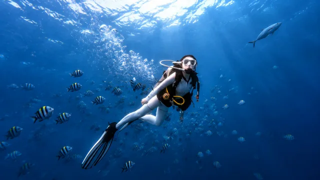 深海潜游秘境