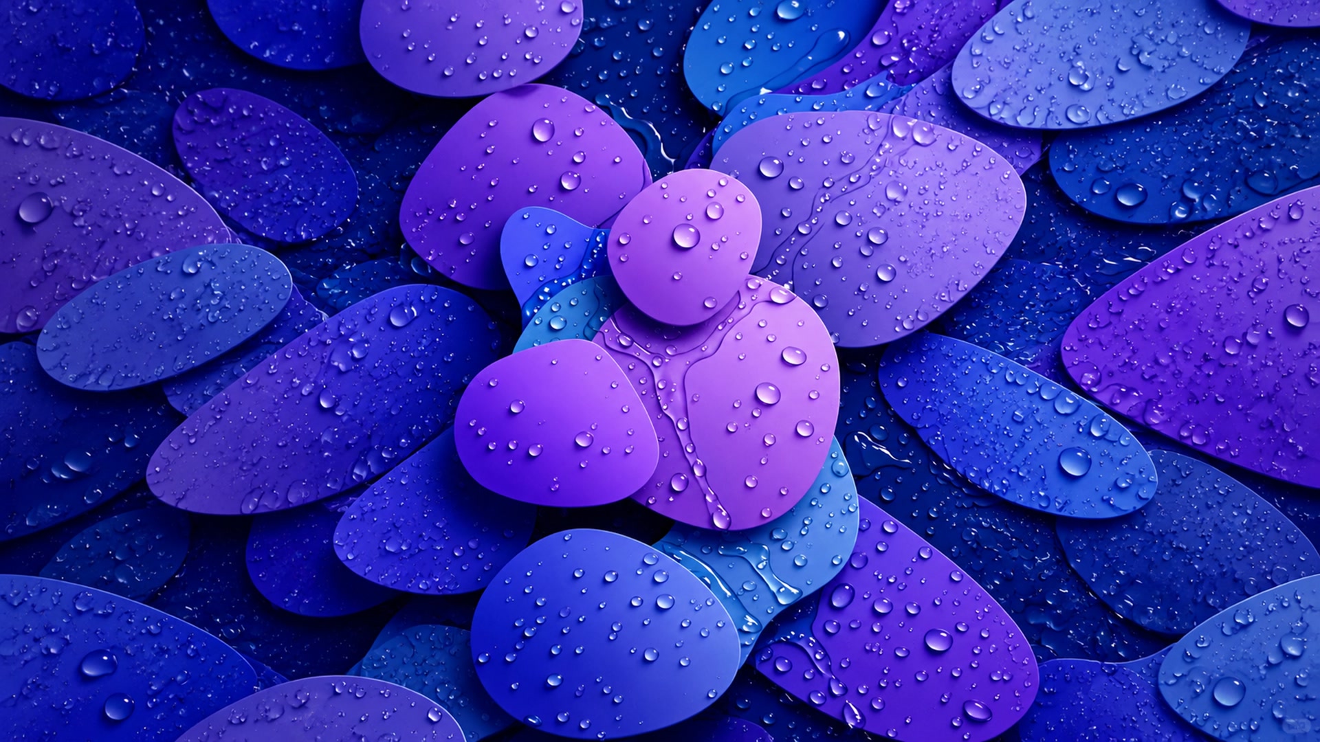 紫蓝水滴花瓣壁纸