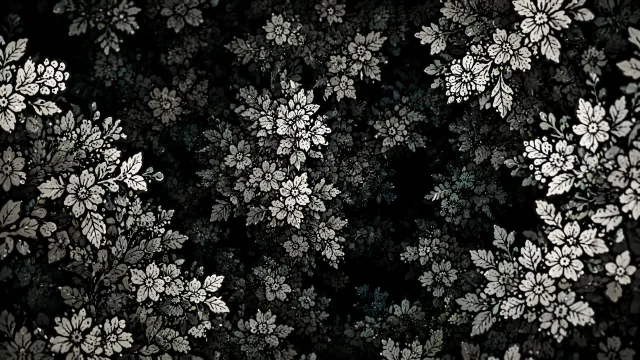 暗夜花影绮梦