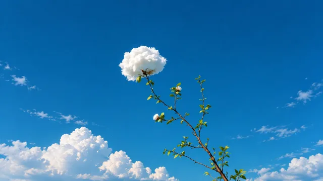 云枝映晴空
