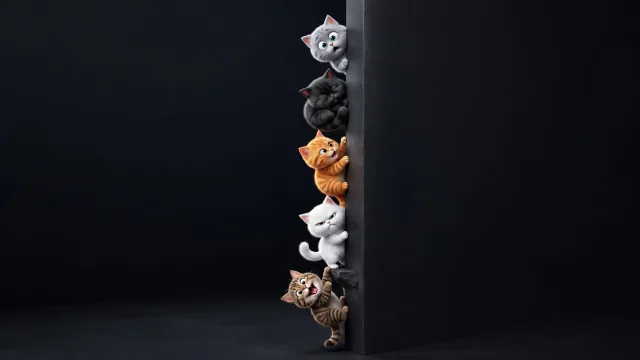 猫咪探头惊喜壁纸