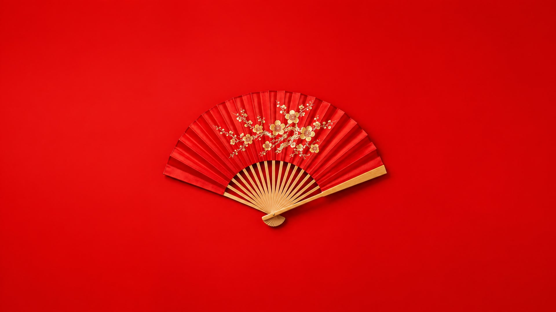 丹扇绽放春意