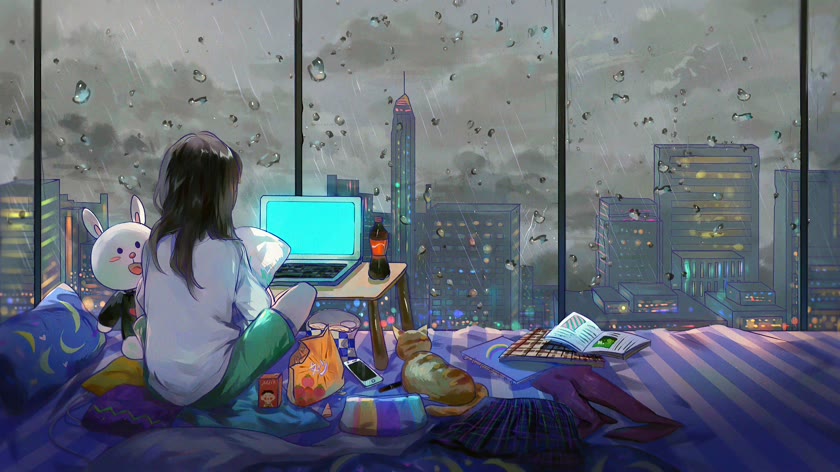 雨夜窗边的猫