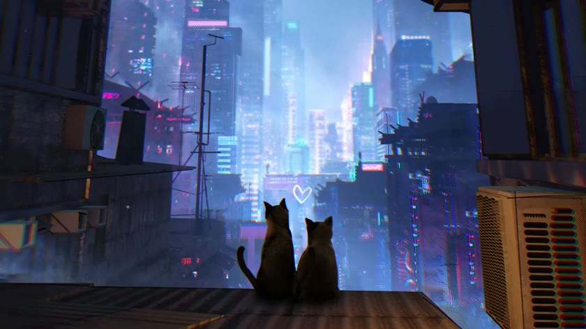 霓虹双猫