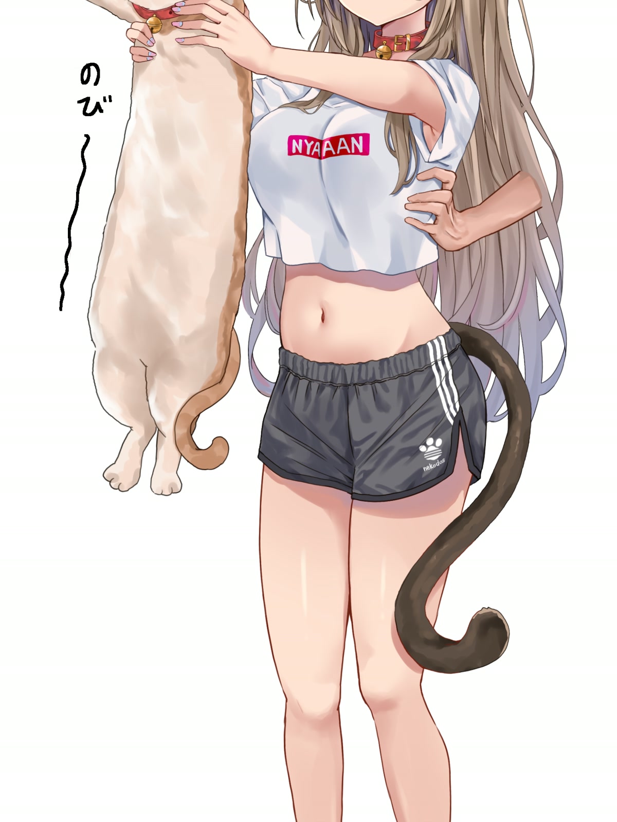 猫耳少女抱猫