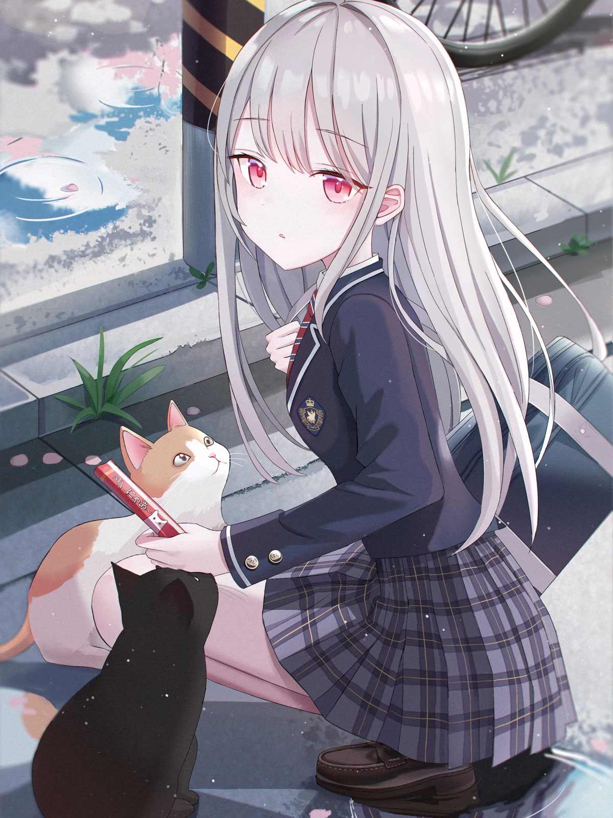 银发少女与猫