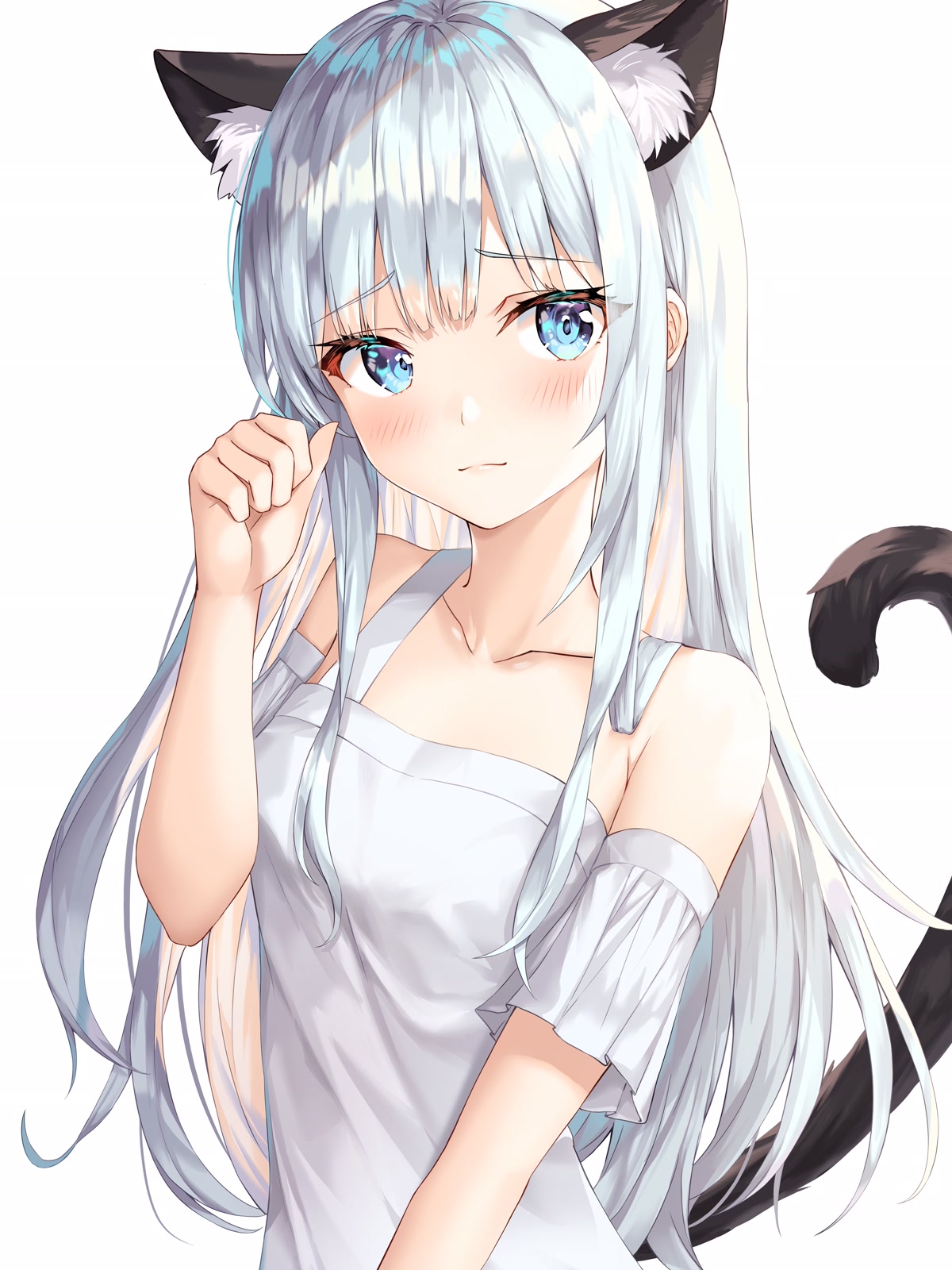 银发猫耳少女