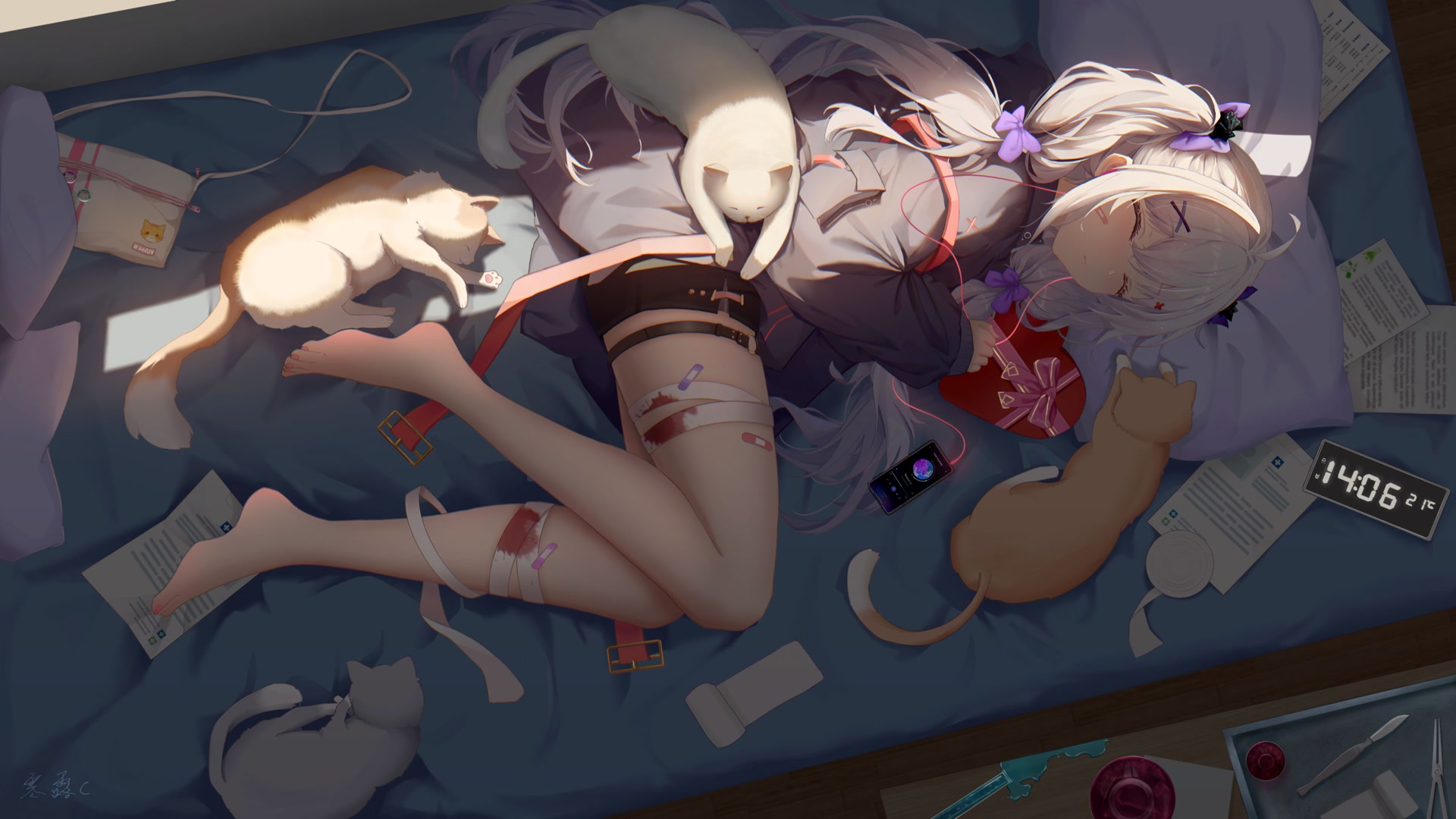 少女与猫同眠