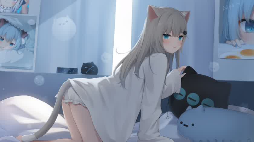 晨光里的猫娘