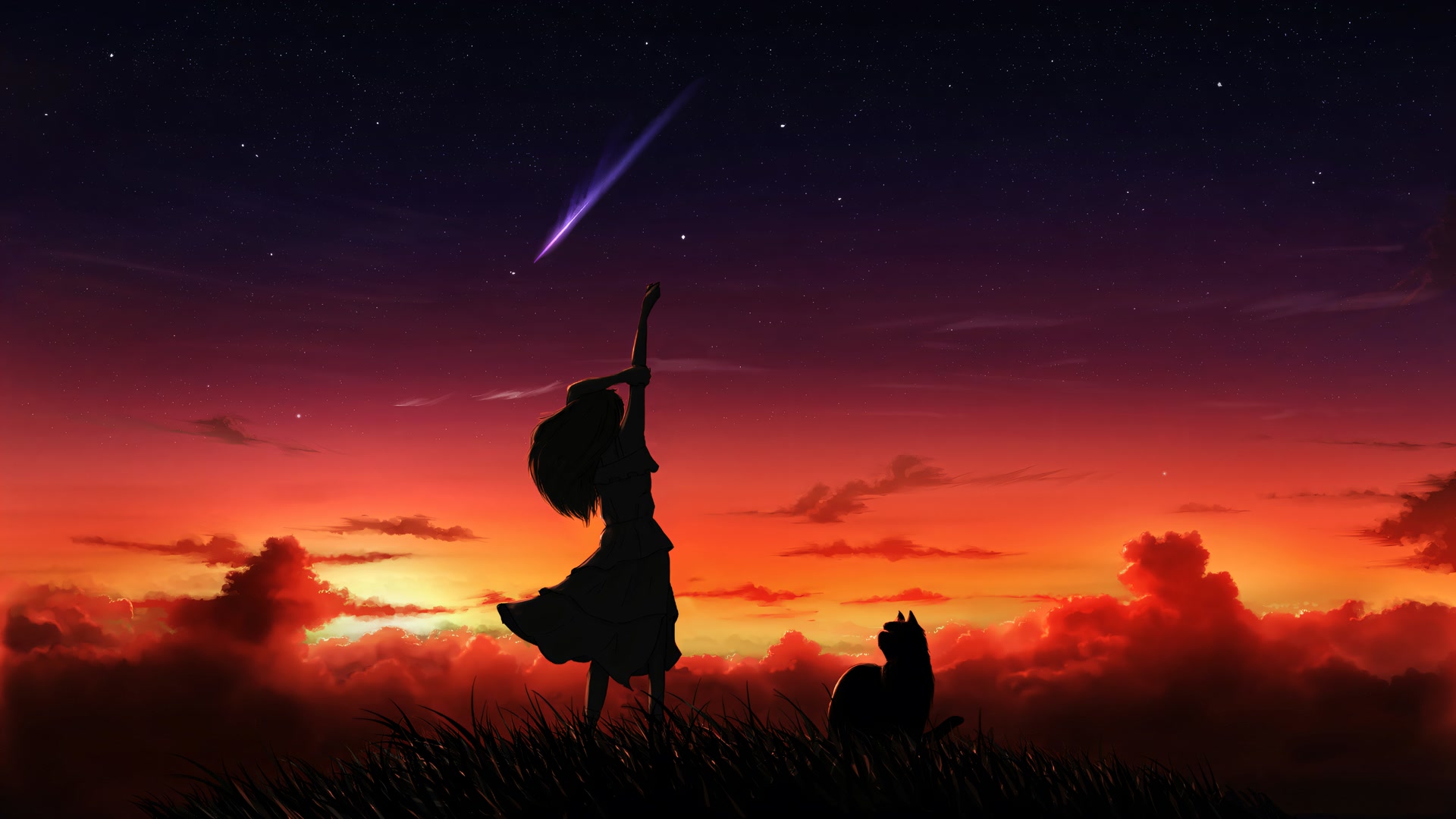 少女与猫观星