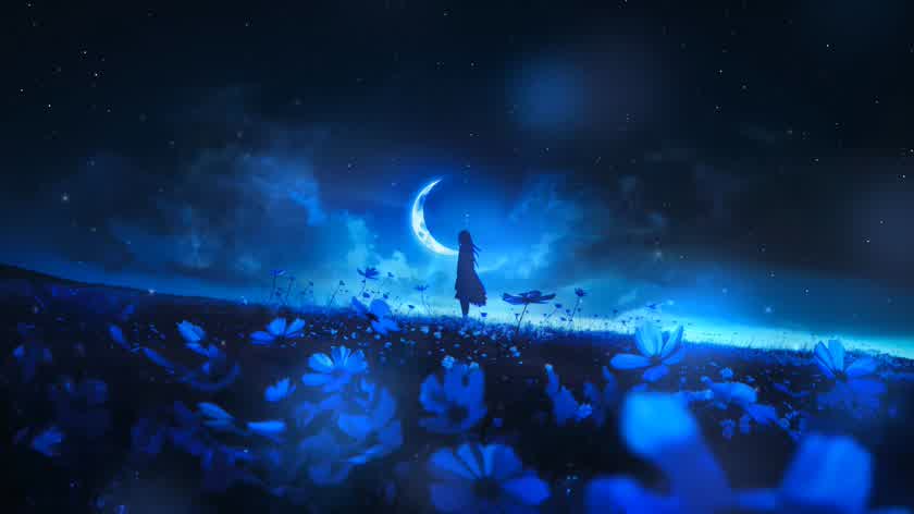 月下花影